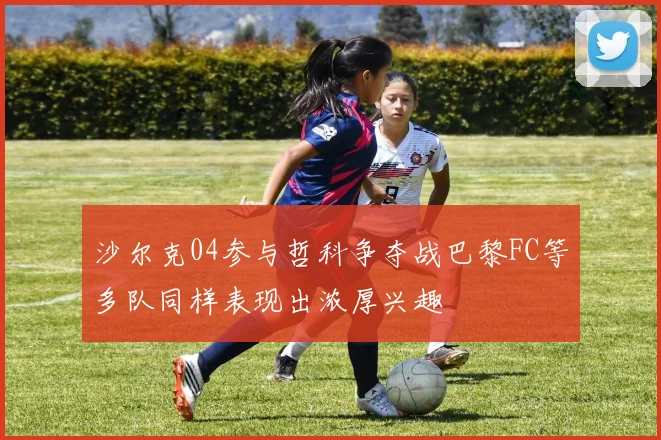 沙尔克04参与哲科争夺战巴黎FC等多队同样表现出浓厚兴趣