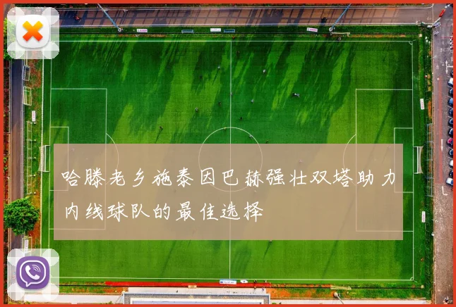 哈滕老乡施泰因巴赫强壮双塔助力内线球队的最佳选择